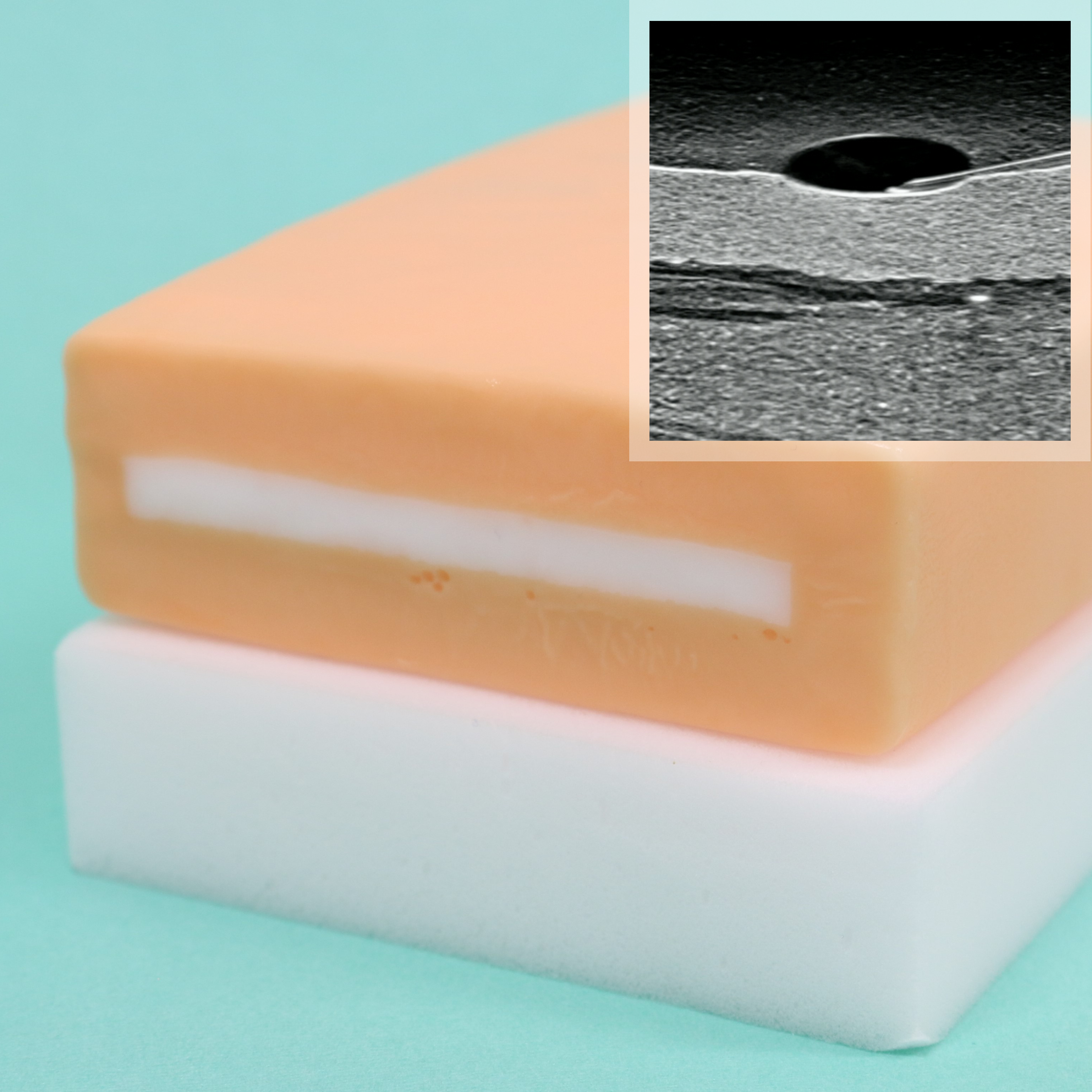 筋膜面ブロックモデル