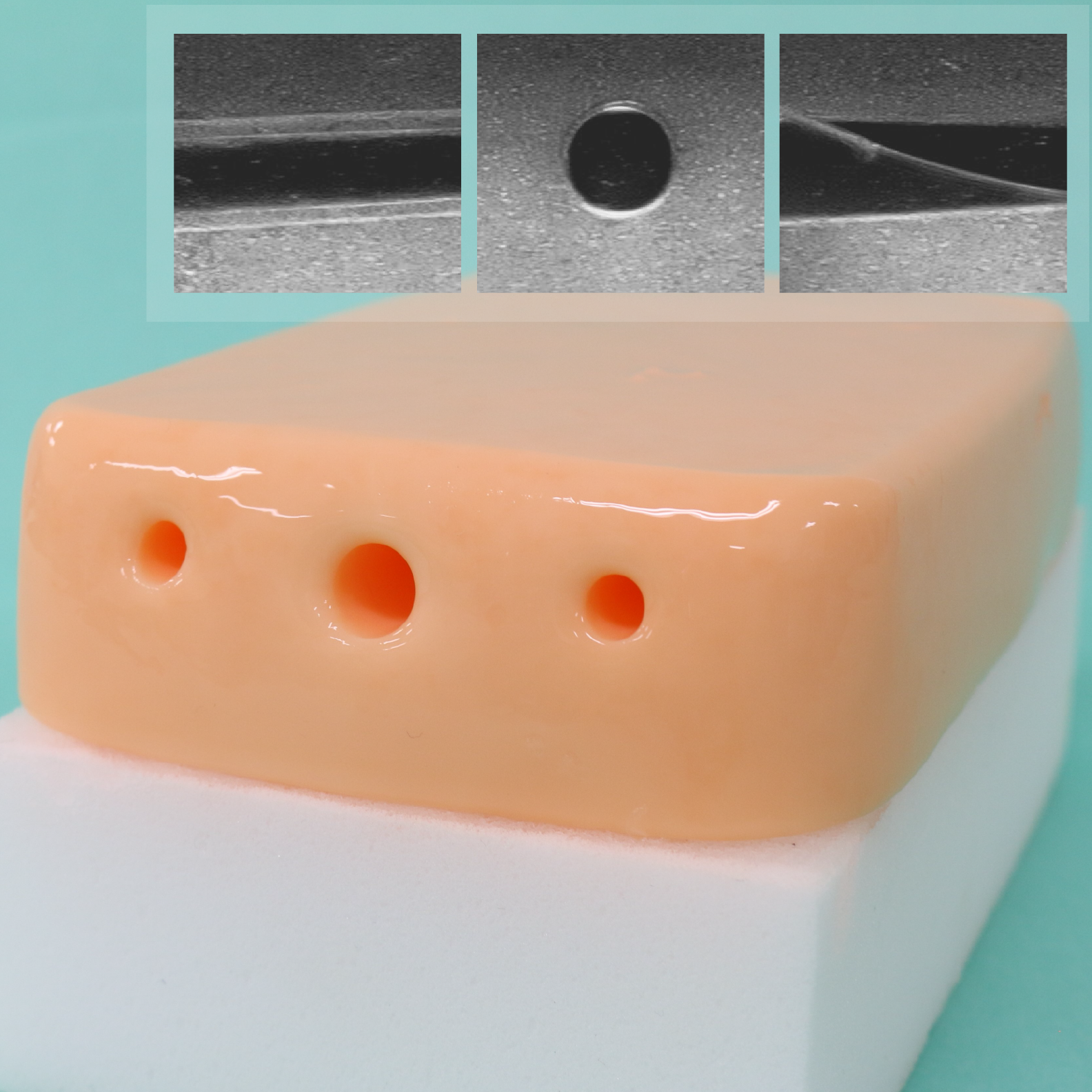 血管挿入モデル