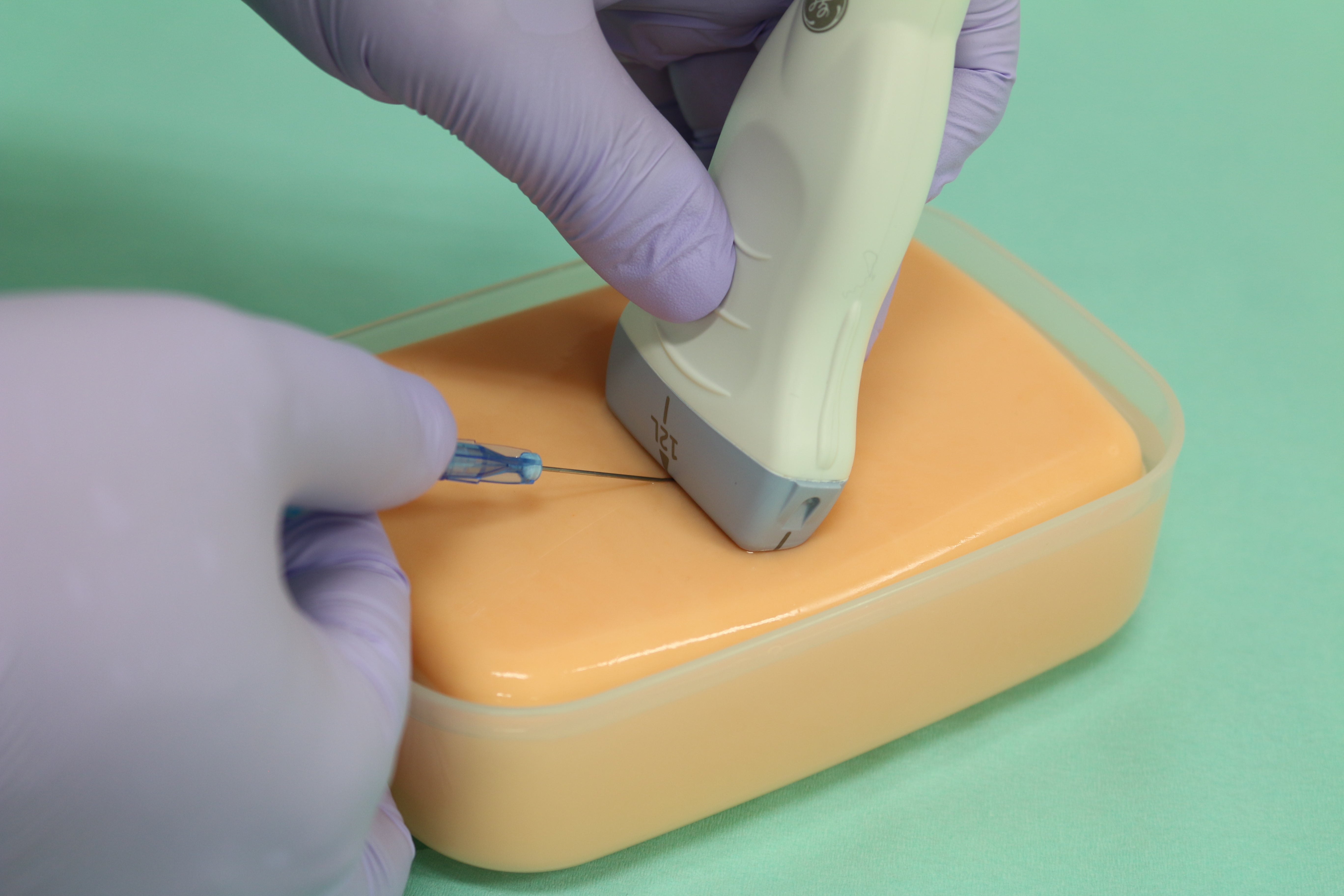 血管挿入モデル